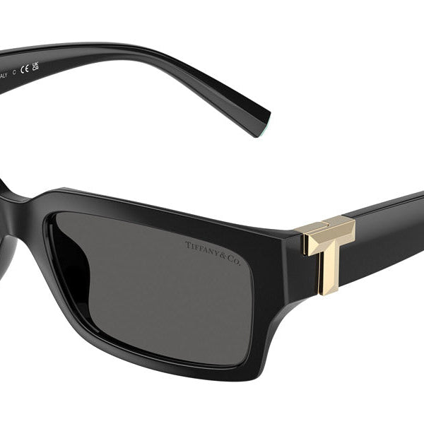 Tiffany & Co. TF4226U Rectangle Sunglasses -TIFFANY Sunglasses- OptiVision