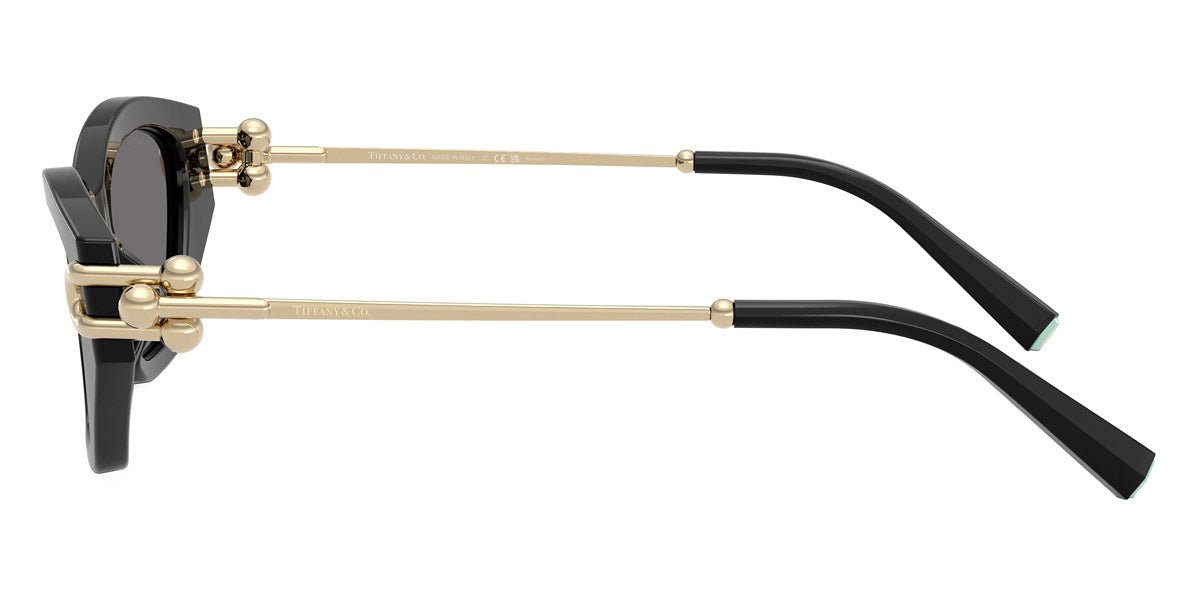 TIFFANY TF4231U -TIFFANY Sunglasses- Optivision