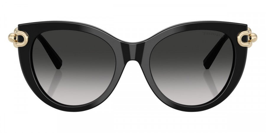 TIFFANY TF4232 -TIFFANY Sunglasses- Optivision