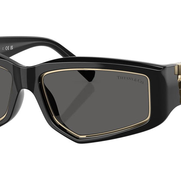Tiffany & Co. TF4234U Irregular Sunglasses -TIFFANY Sunglasses- OptiVision
