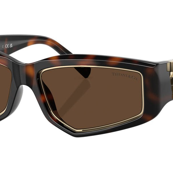 Tiffany & Co. TF4234U Irregular Sunglasses -TIFFANY Sunglasses- OptiVision