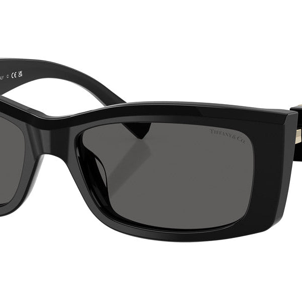 Tiffany & Co. TF4240U Rectangle Sunglasses -TIFFANY Sunglasses- OptiVision
