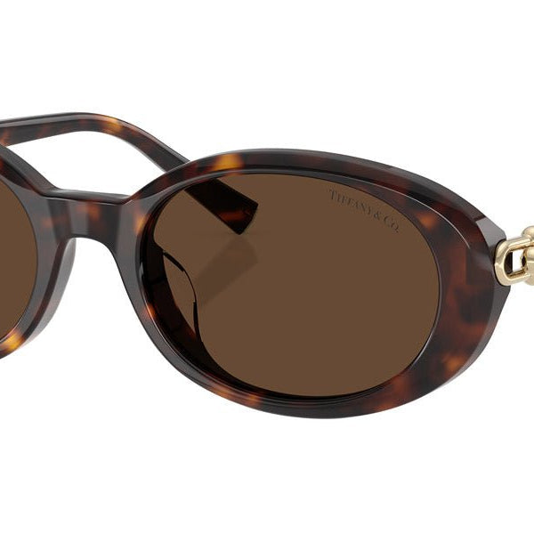 Tiffany & Co. TF4242D Oval Sunglasses -TIFFANY Sunglasses- OptiVision