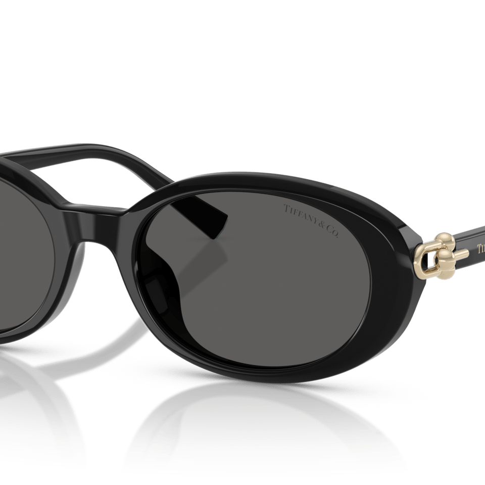 Tiffany & Co. TF4242D Oval Sunglasses -TIFFANY Sunglasses- OptiVision