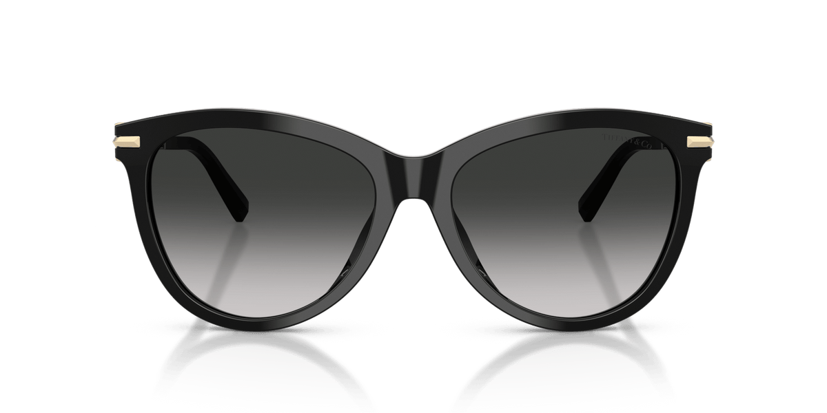Tiffany & Co. TF4258BU Panto Sunglasses -TIFFANY Sunglasses- Optivision