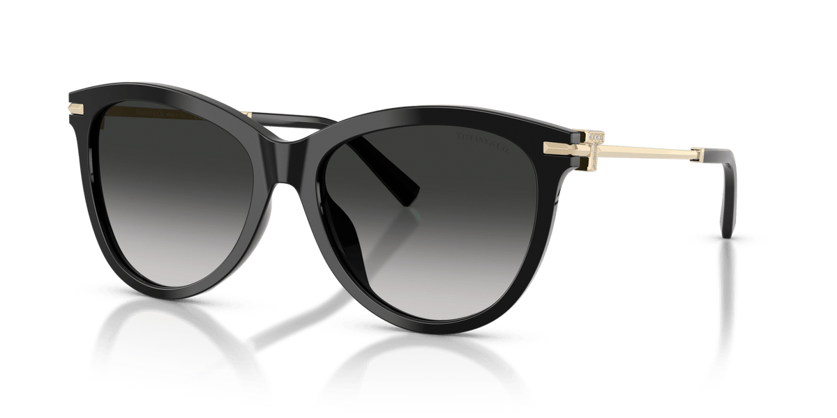 Tiffany & Co. TF4258BU Panto Sunglasses -TIFFANY Sunglasses- Optivision
