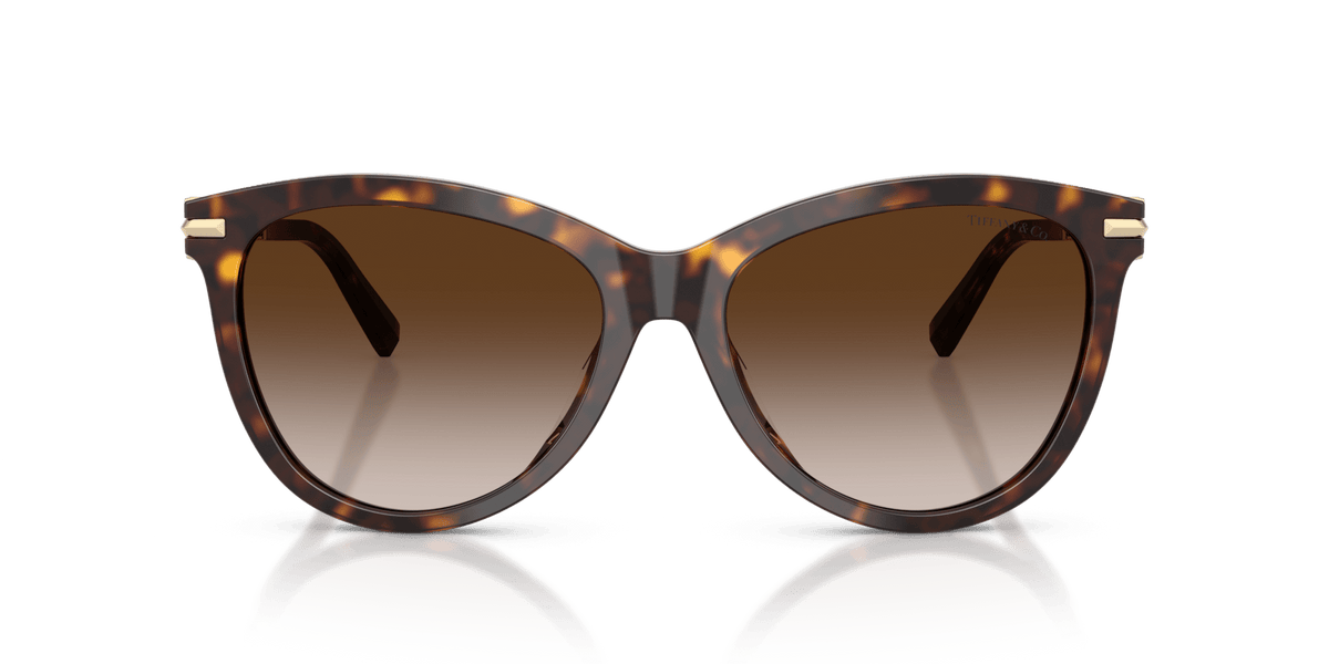 Tiffany & Co. TF4258BU Panto Sunglasses -TIFFANY Sunglasses- Optivision