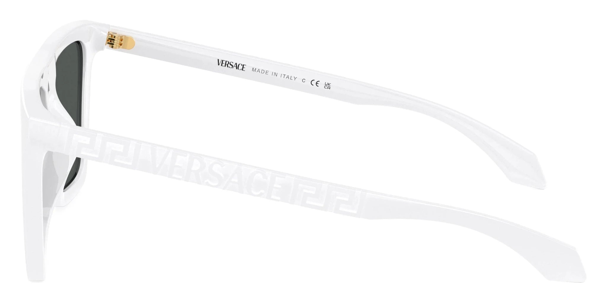 VERSACE VE4468U Medusa Biggie -VERSACE Sunglasses- Optivision