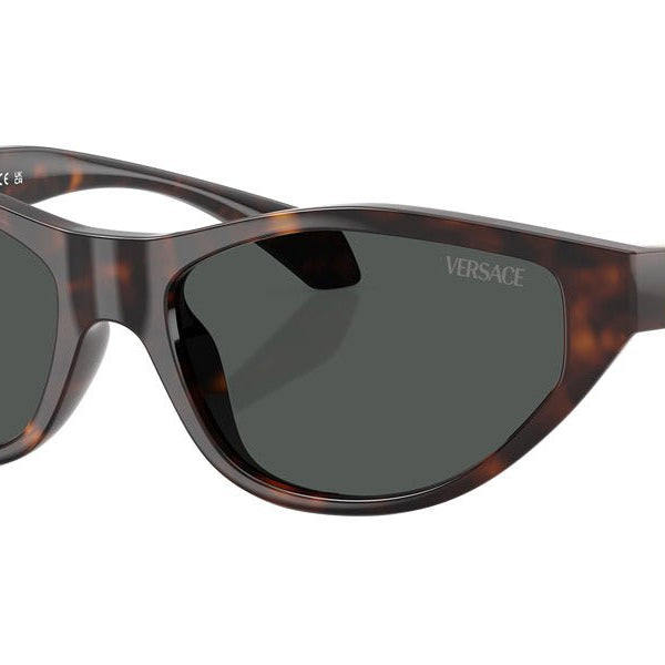VERSACE VE4491U Medusa -VERSACE Sunglasses- Optivision