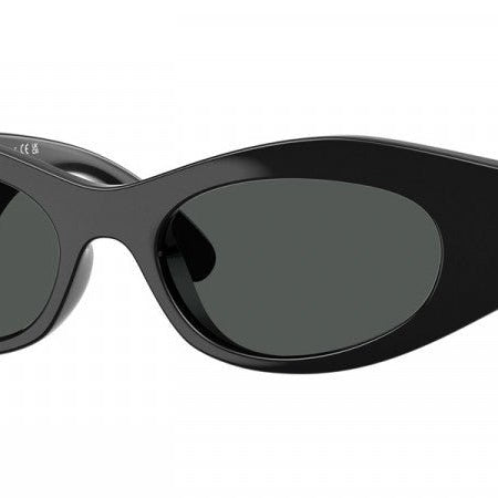 VERSACE VE4480U Medusa -VERSACE Sunglasses- Optivision