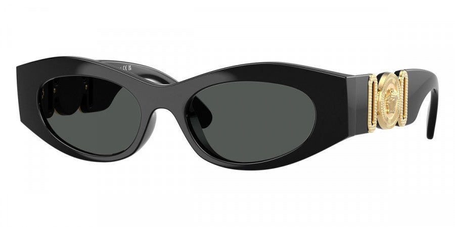 VERSACE VE4480U Medusa -VERSACE Sunglasses- Optivision