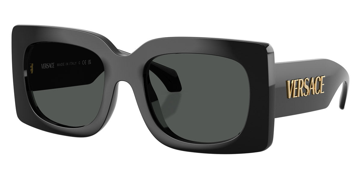 VERSACE VE4496U -VERSACE Sunglasses- Optivision