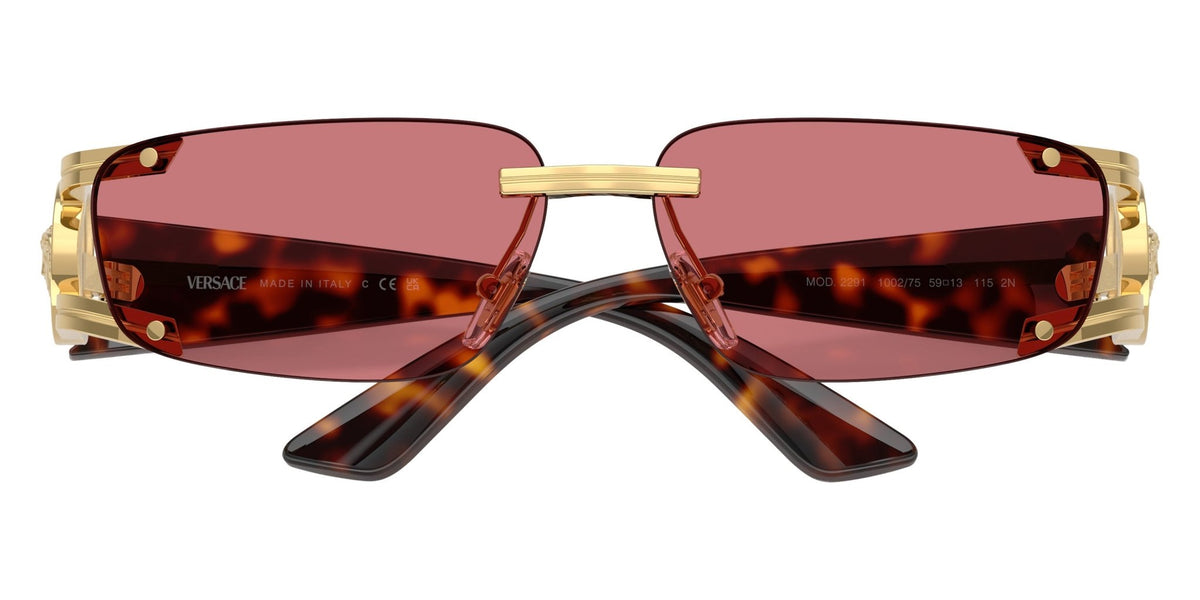 VERSACE VE2291 Medusa -VERSACE Sunglasses- Optivision