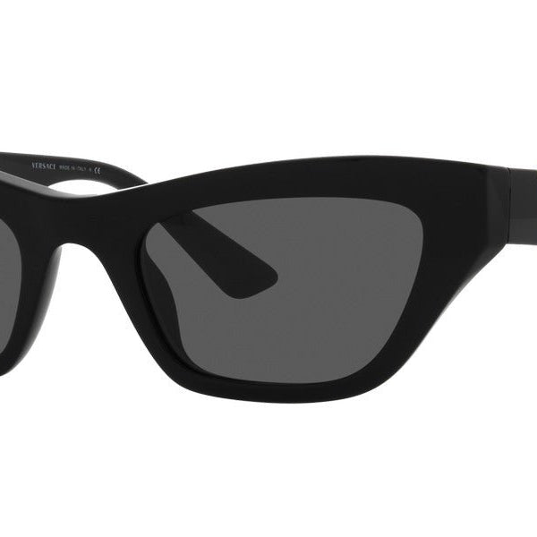 VERSACE VE4419 Medusa -VERSACE Sunglasses- Optivision