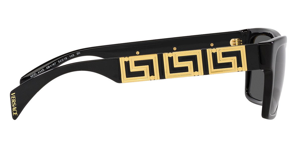 VERSACE VE4445 Medusa -VERSACE Sunglasses- Optivision