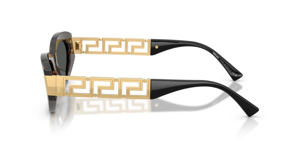 VERSACE VE4501 Medusa -VERSACE Sunglasses- Optivision
