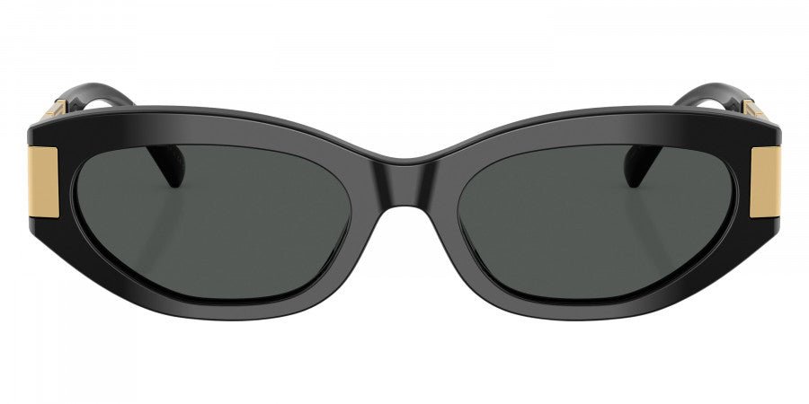 VERSACE VE4501 Medusa -VERSACE Sunglasses- Optivision