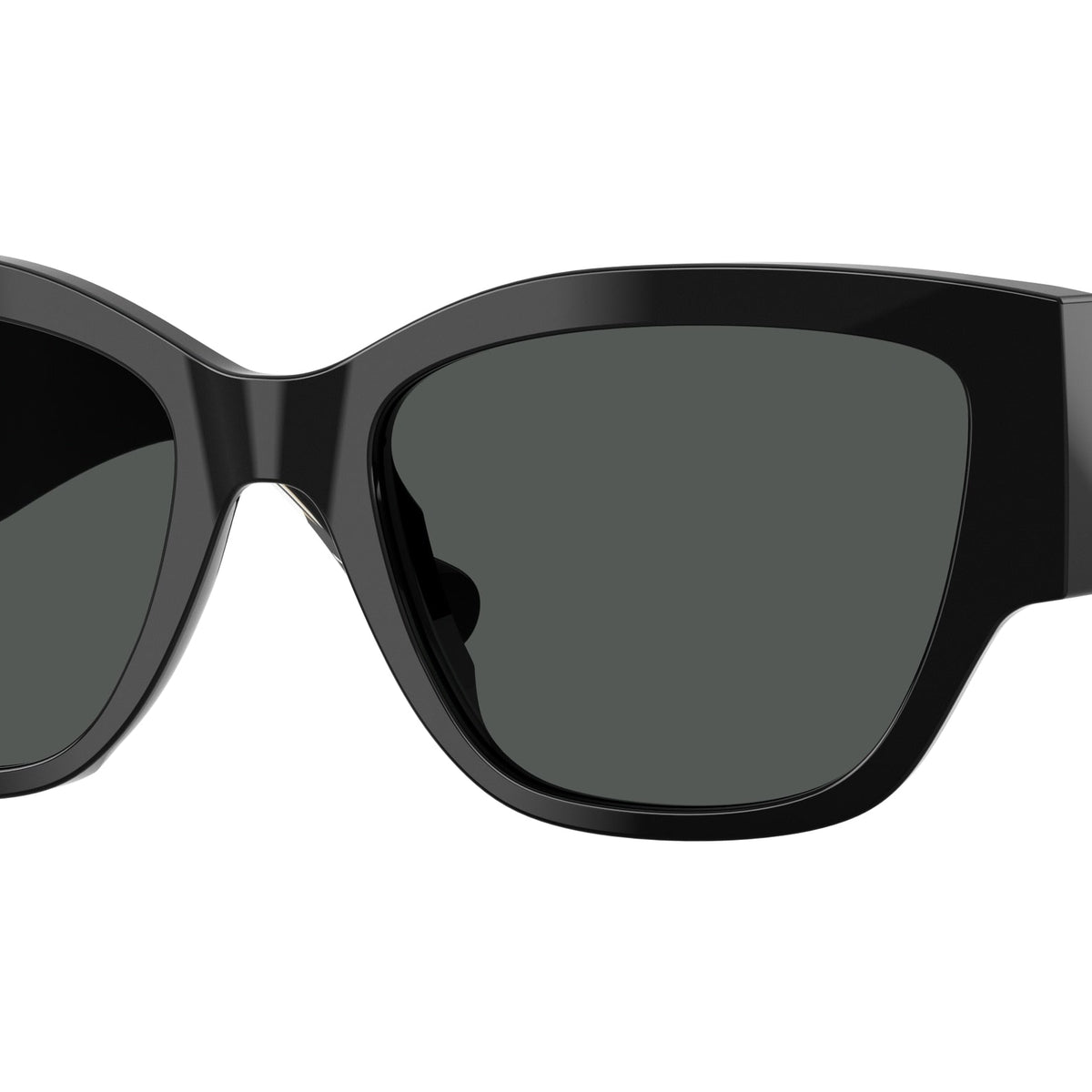 Versace VE4509U Cat Eye Sunglasses