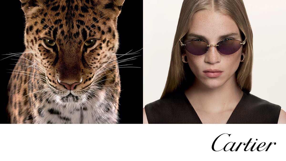 Cartier Sunglasses in the UAE: Panthère, Pilot Shapes and Signature Designs - OptiVision