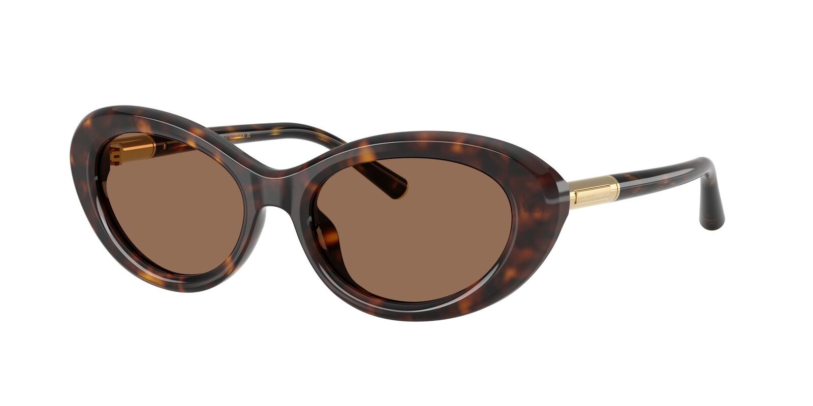 DOLCE & GABBANA DG4519