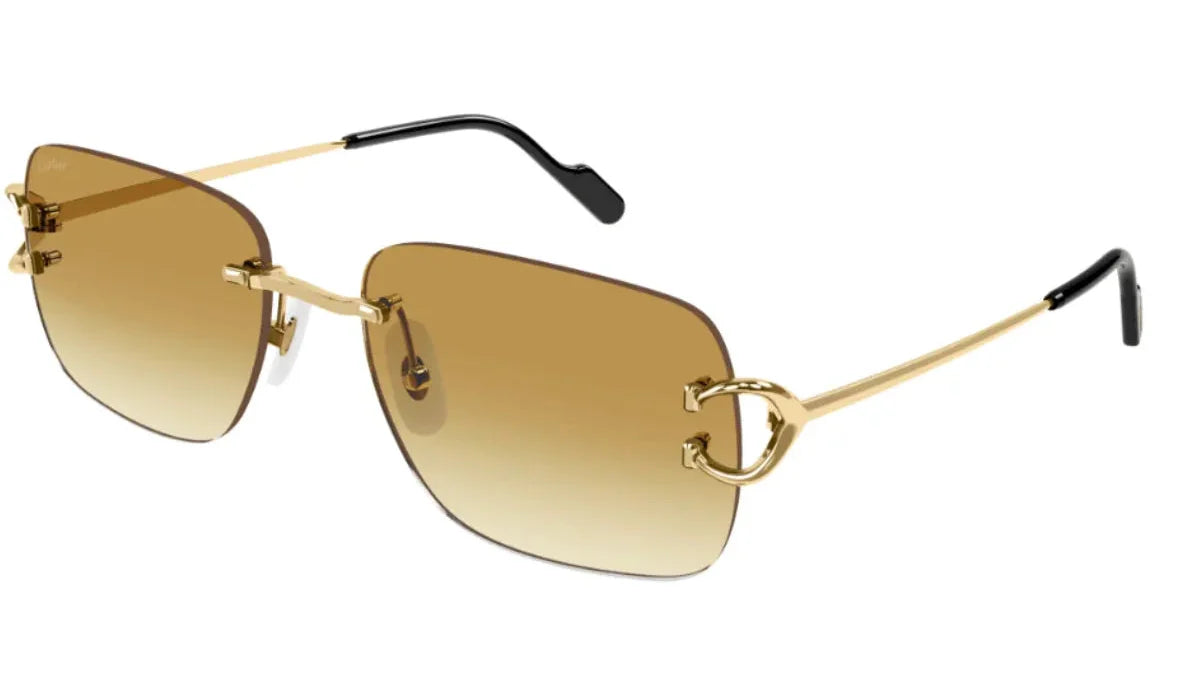 CARTIER CT0330S