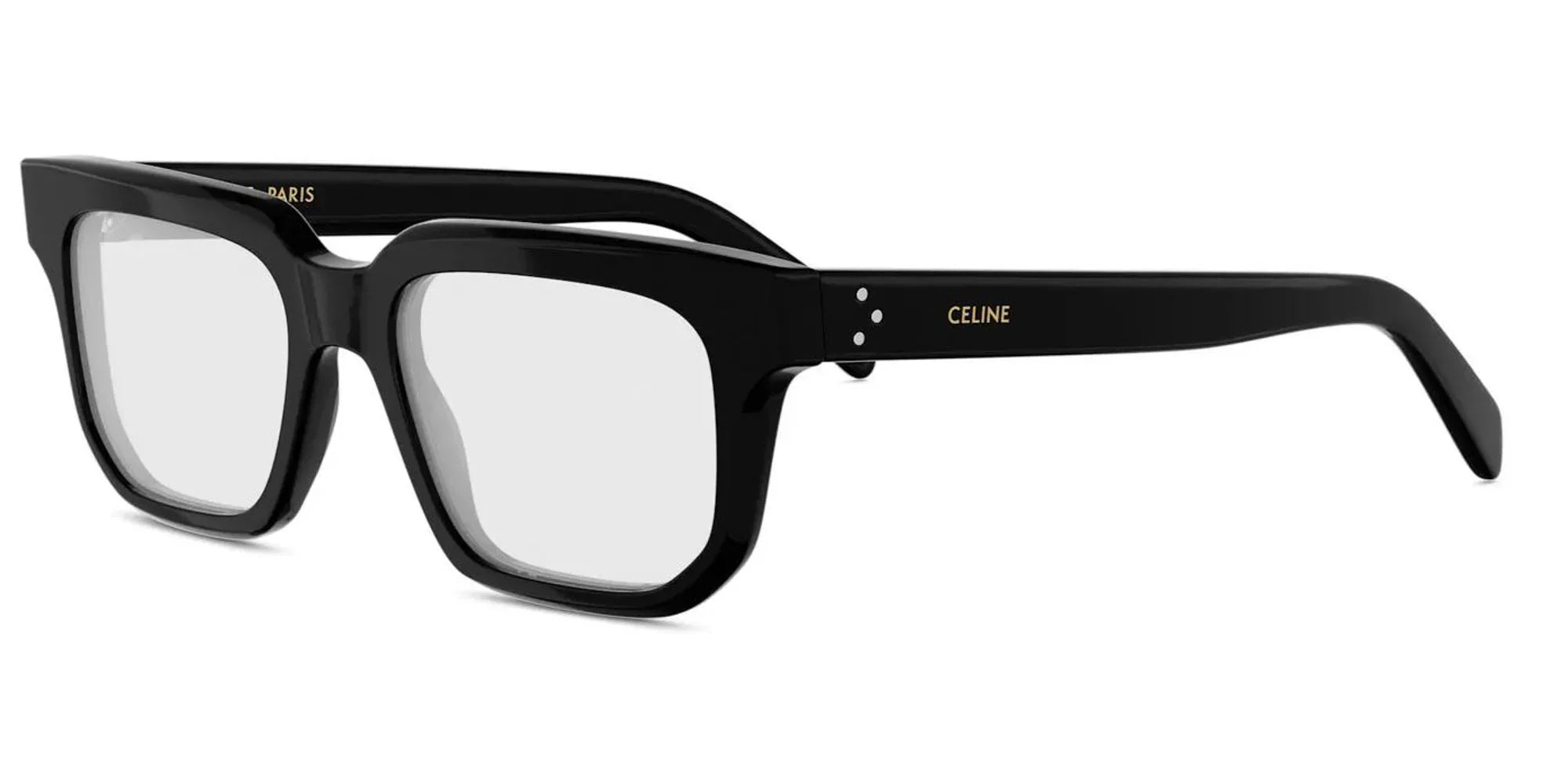 CELINE CL50176I