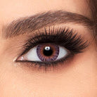 FRESHLOOK COLOR BLENDS MONTHLY -FRESHLOOK CONTACT LENS- Optivision