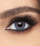FRESHLOOK DAILY -FRESHLOOK CONTACT LENS- Optivision