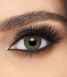 FRESHLOOK DAILY -FRESHLOOK CONTACT LENS- Optivision