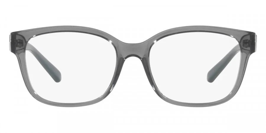ARMANI EXCHANGE AX3098 -ARMANI EXCHANGE Eyeglasses- Optivision