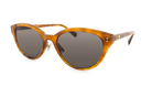 BOLON BL3262 -BOLON Sunglasses- Optivision