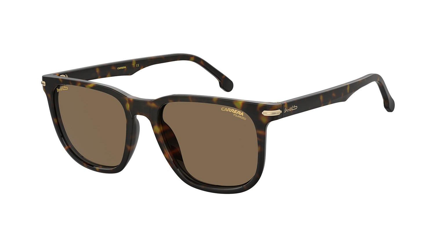 Carrera CARRERA 300/S/N Square Sunglasses