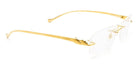 Cartier CT0061O Panthère de Cartier Rectangle Eyeglasses -CARTIER Eyeglasses- Optivision