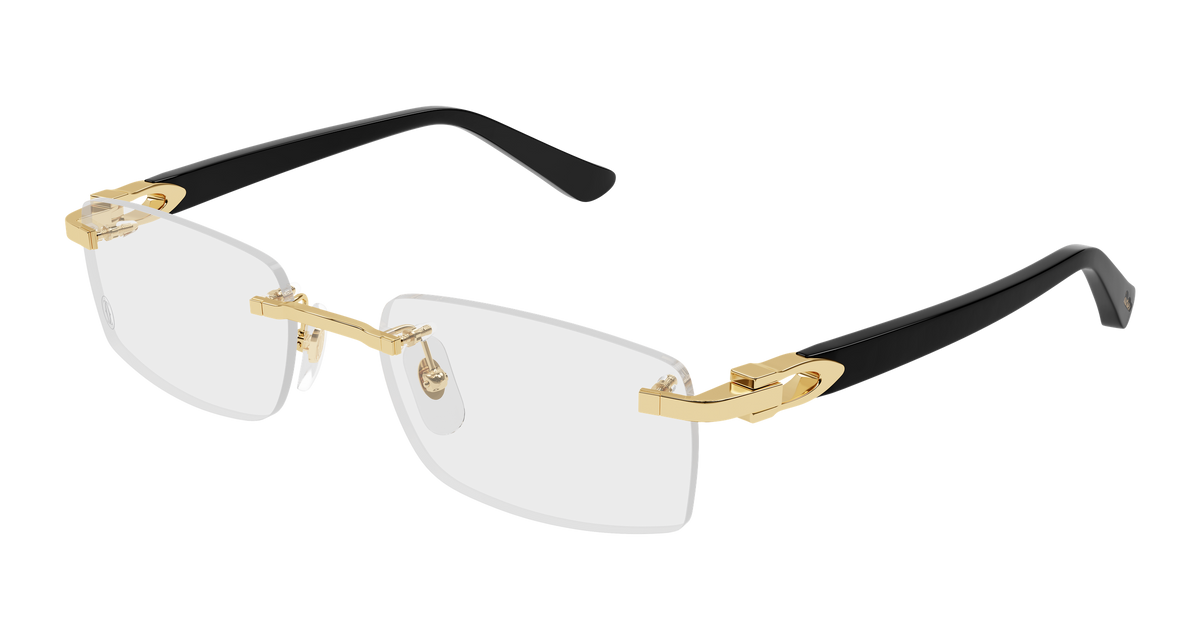 Cartier CT0607OJ Rectangle Eyeglasses -CARTIER Eyeglasses- Optivision