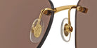CARTIER CT0046S -CARTIER Sunglasses- Optivision