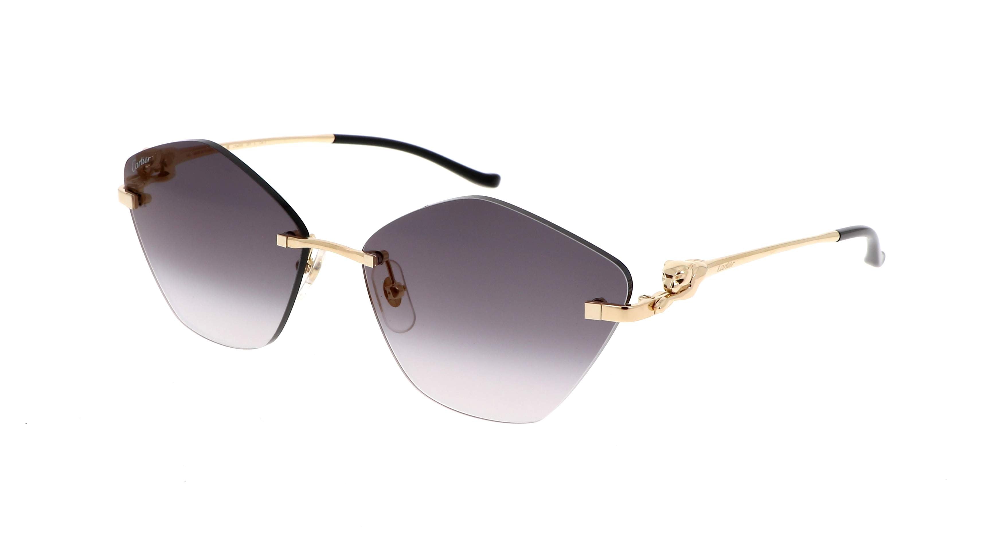 Cartier CT0429S Irregular Sunglasses