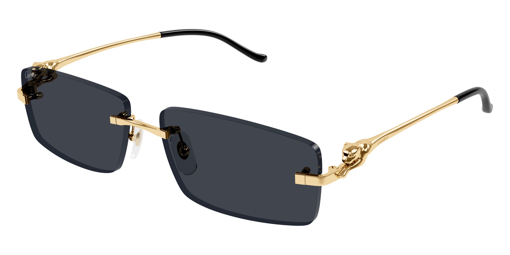 CARTIER CT0430S