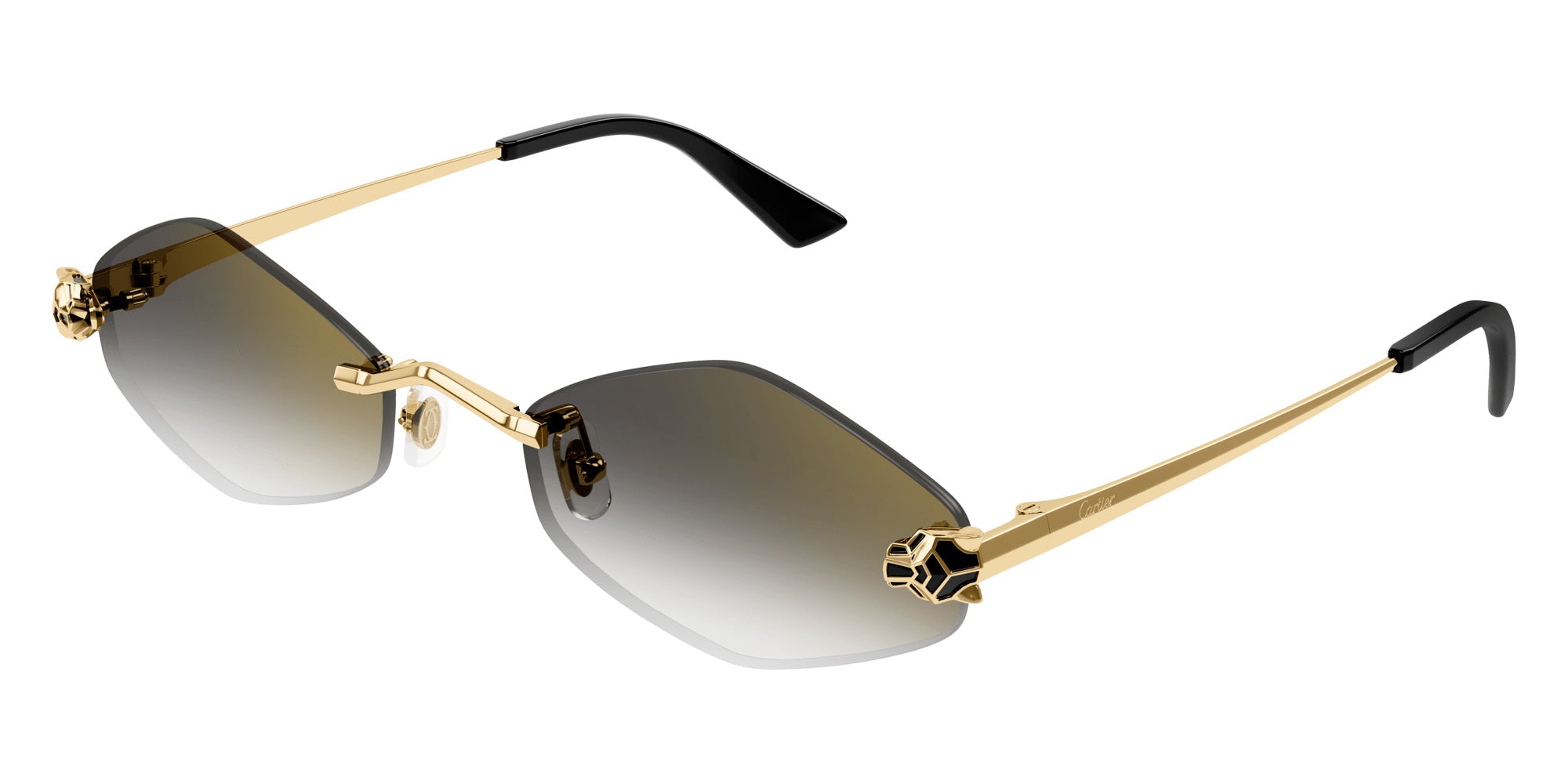 Cartier CT0433S Sunglasses