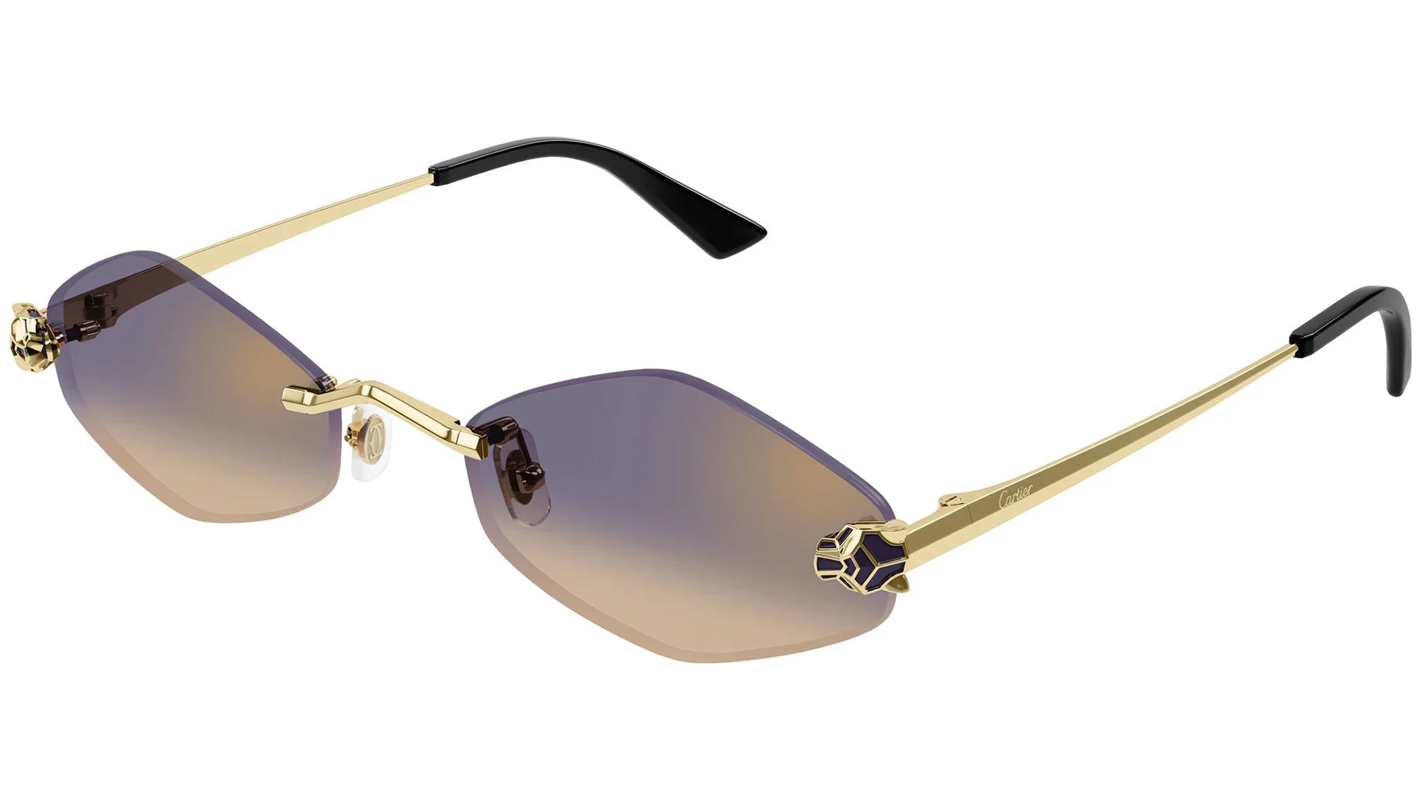 Cartier CT0433S Sunglasses