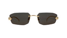 CARTIER CT0474S -CARTIER Sunglasses- Optivision