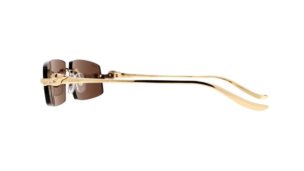 CARTIER CT0505S -CARTIER Sunglasses- Optivision