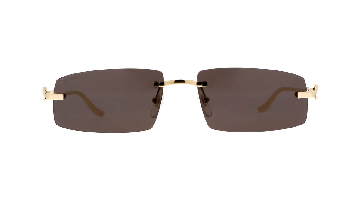 CARTIER CT0505S -CARTIER Sunglasses- Optivision