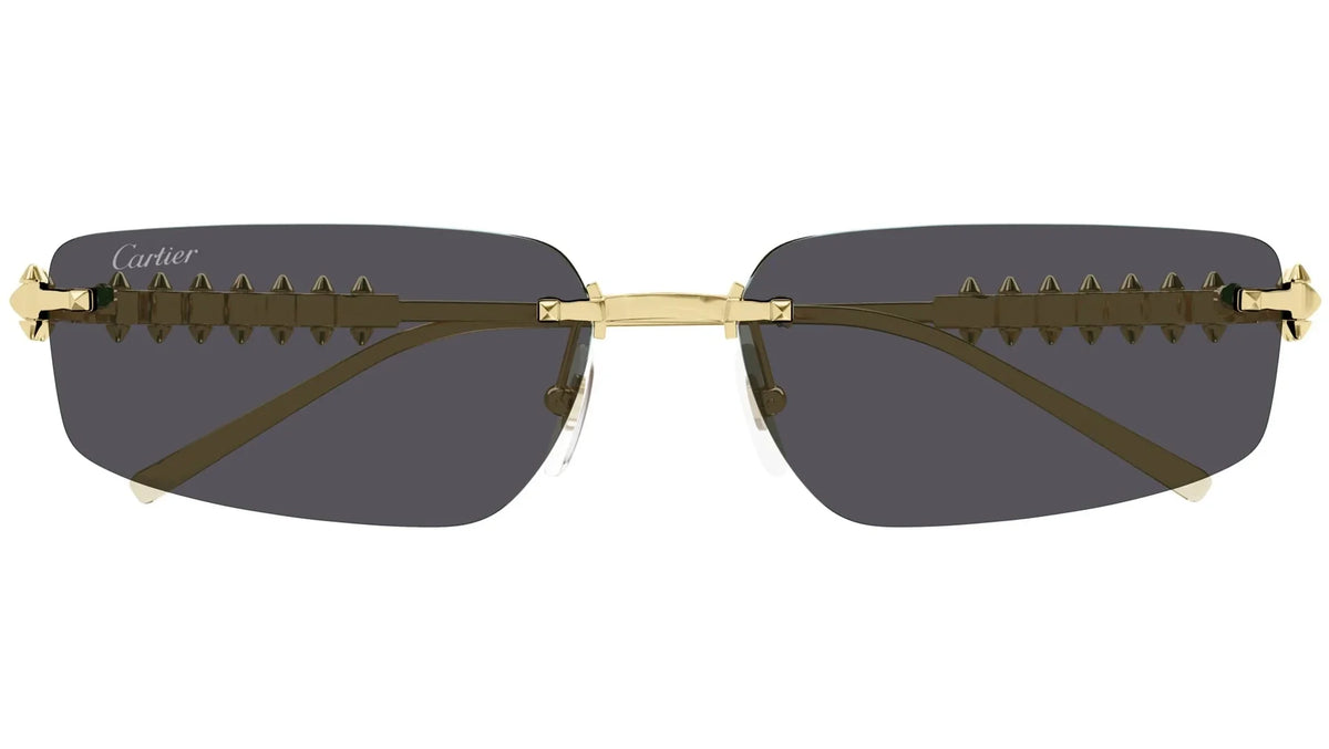 Cartier CT0544S Rectangle Sunglasses -CARTIER Sunglasses- Optivision