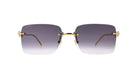Cartier CT0545S Rectangle Sunglasses -CARTIER Sunglasses- Optivision