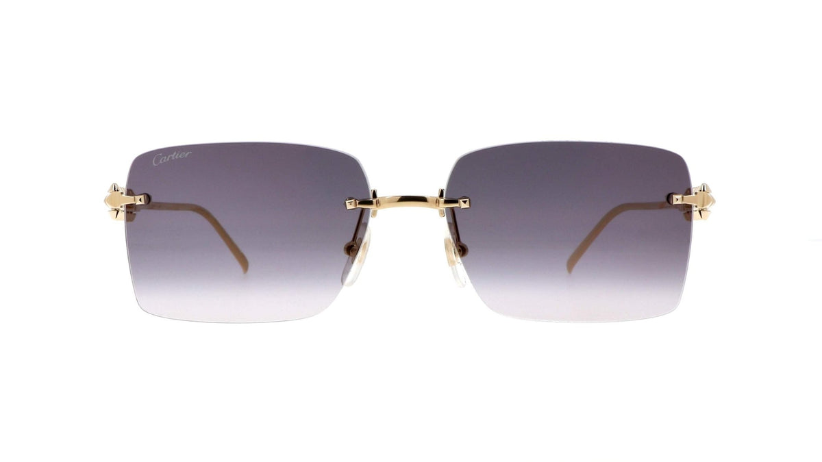 Cartier CT0545S Rectangle Sunglasses -CARTIER Sunglasses- Optivision