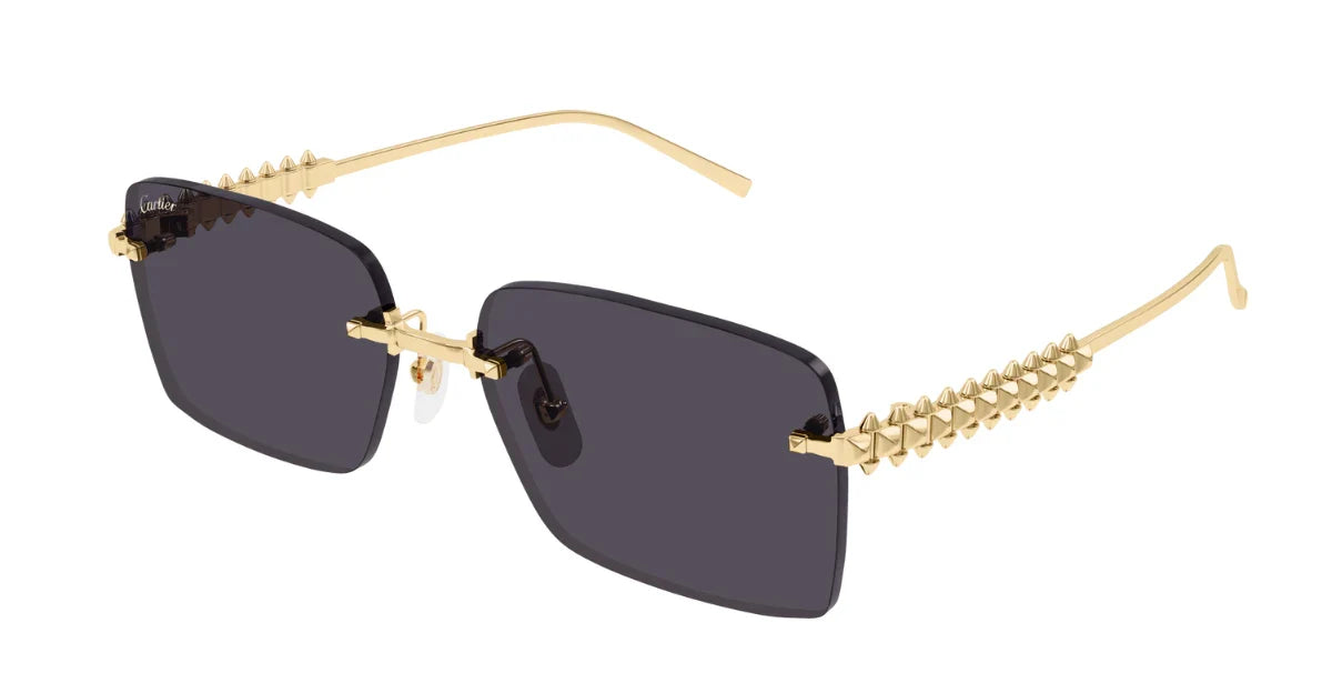 Cartier CT0545S Rectangle Sunglasses