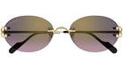 Cartier CT0551S Oval Sunglasses -CARTIER Sunglasses- Optivision
