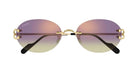 Cartier CT0551S Oval Sunglasses -CARTIER Sunglasses- Optivision
