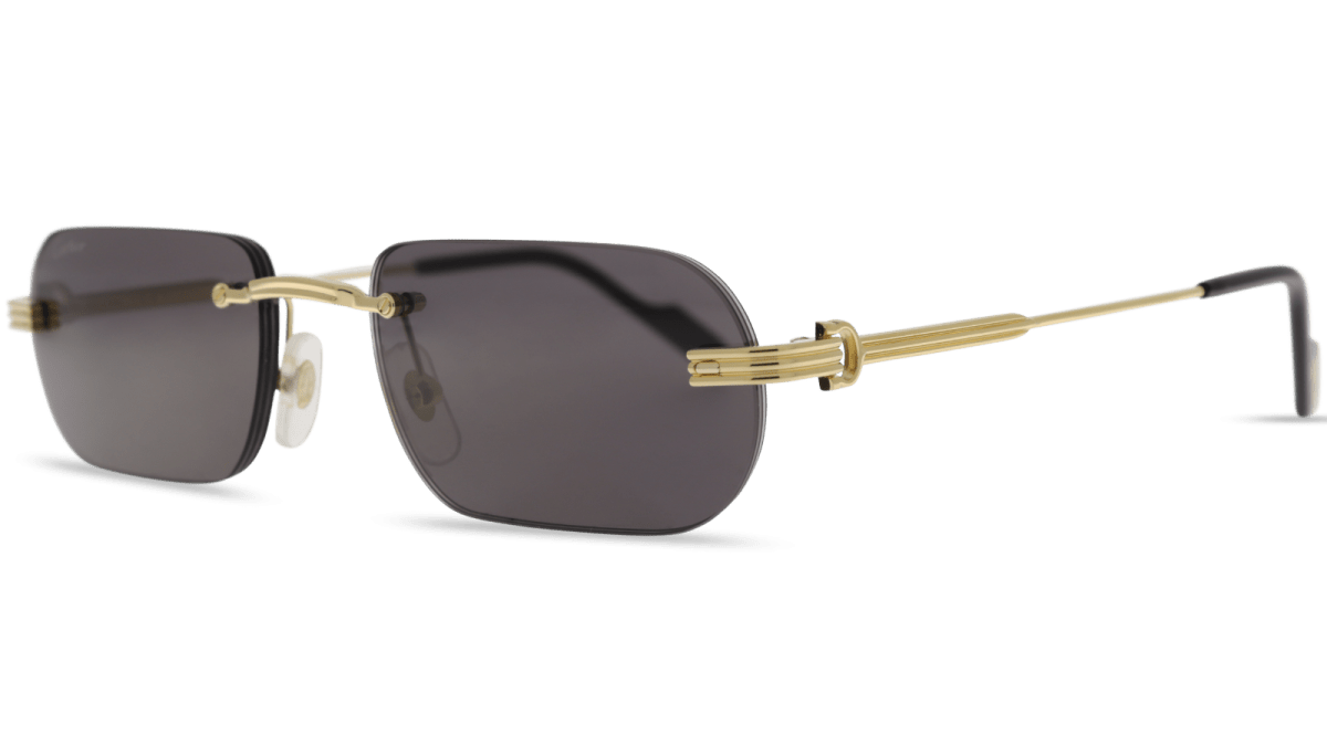 Cartier CT0577S Rectangle Sunglasses
