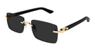 CARTIER CT0579S C Decor -CARTIER Sunglasses- Optivision